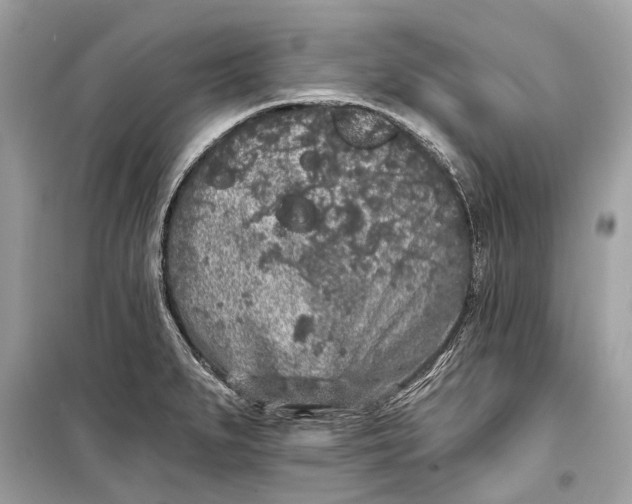 X0000099301279200805161340