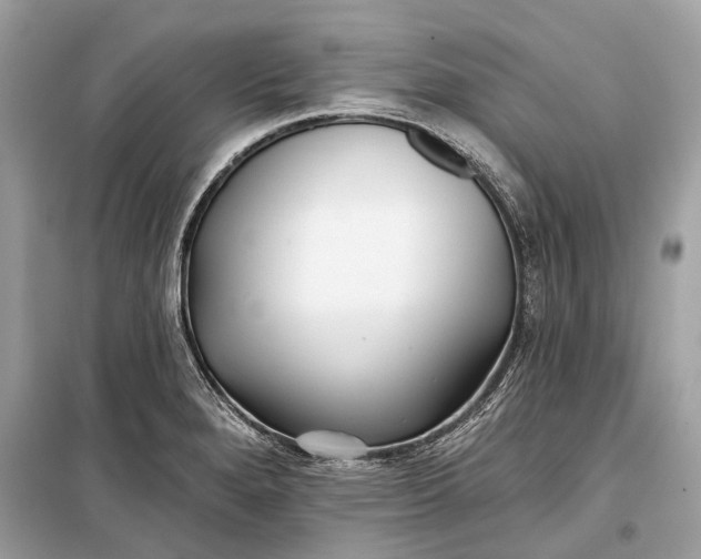 X0000099301280200805161340