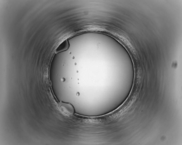 X0000099301281200805161340