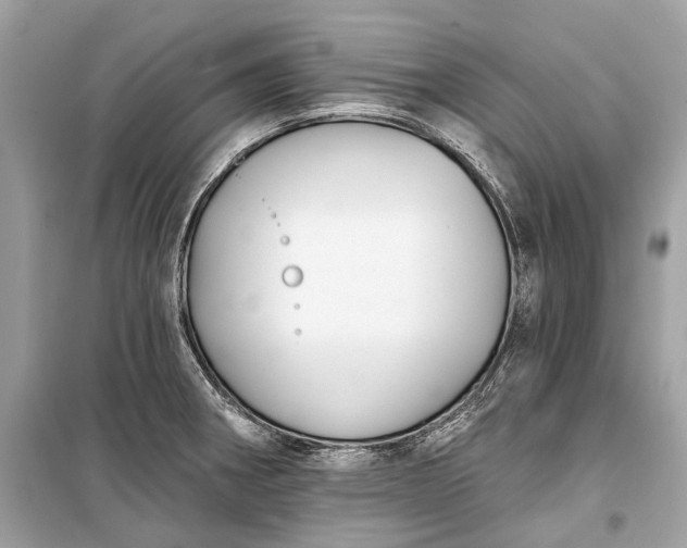 X0000099301282200805161340