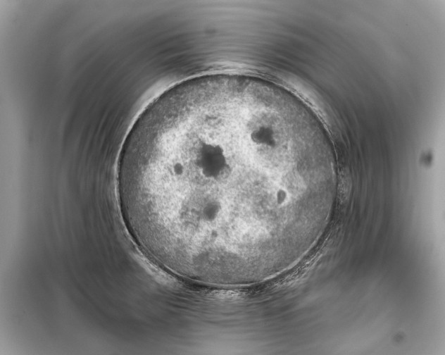 X0000099301283200805161340