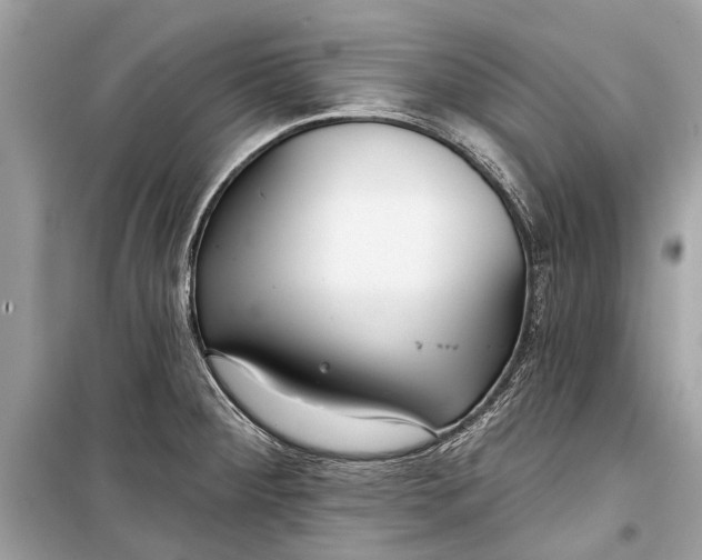 X0000099301284200805161340