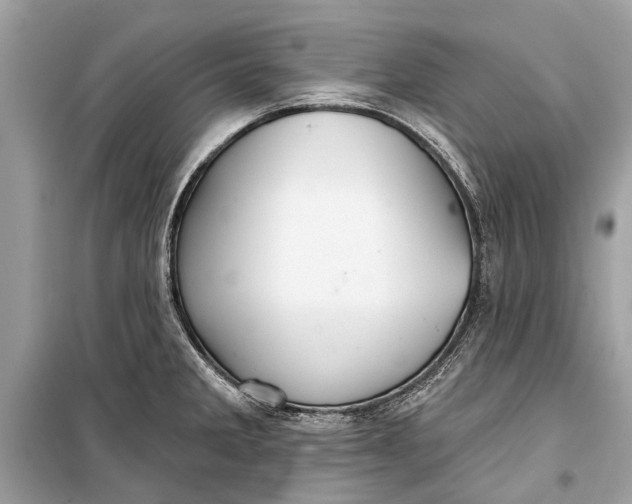 X0000099301285200805161340