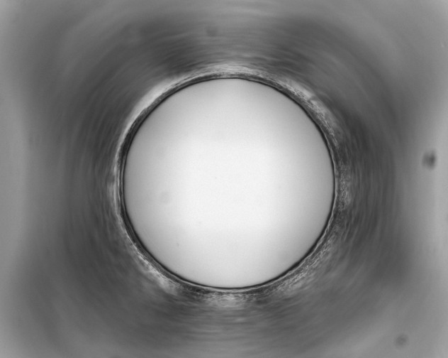 X0000099301286200805161340