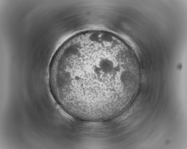 X0000099301287200805161340