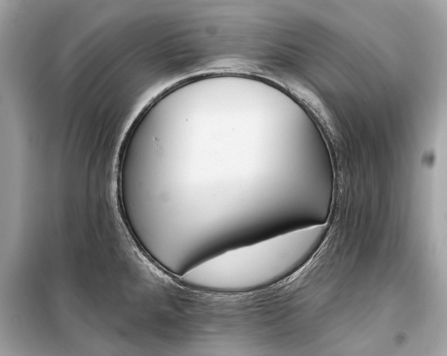 X0000099301288200805161340