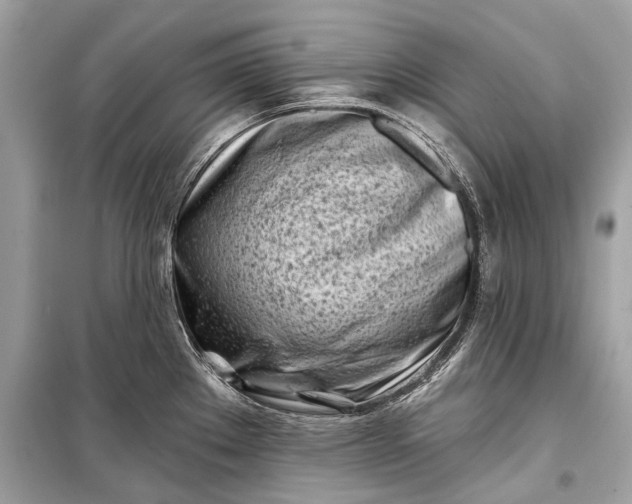 X0000099301289200805161340