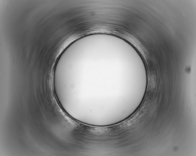 X0000099301290200805161340