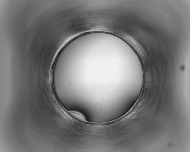 X0000099301292200805161340