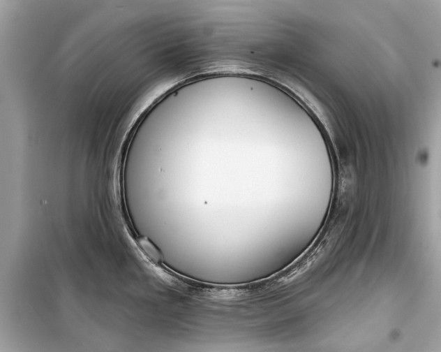 X0000099301293200805161340