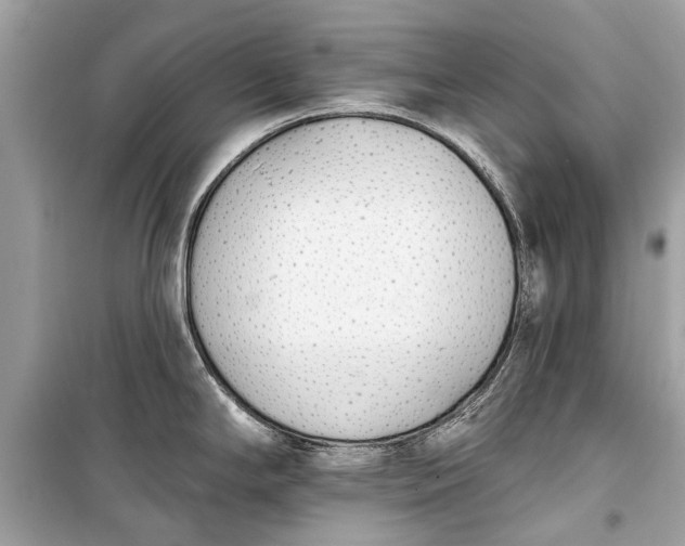 X0000099301294200805161340