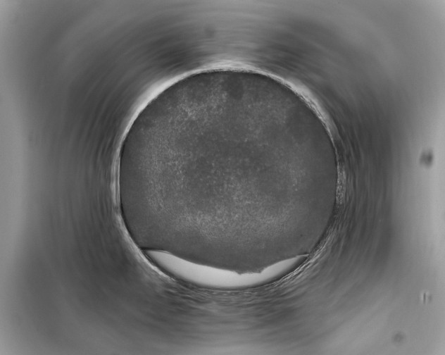 X0000099301295200805161340