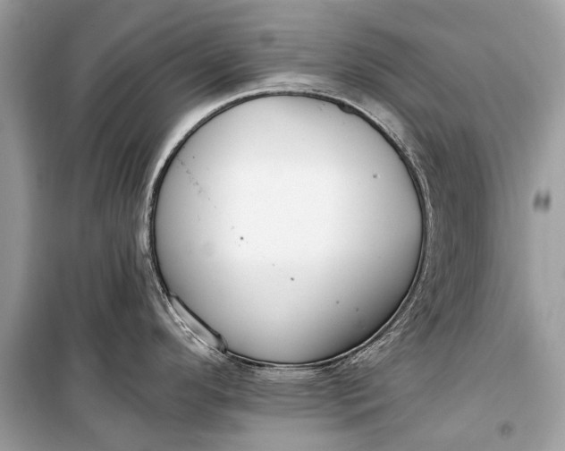 X0000099301296200805161340