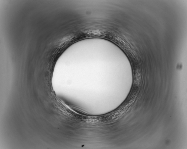 X0000099301297200805161339