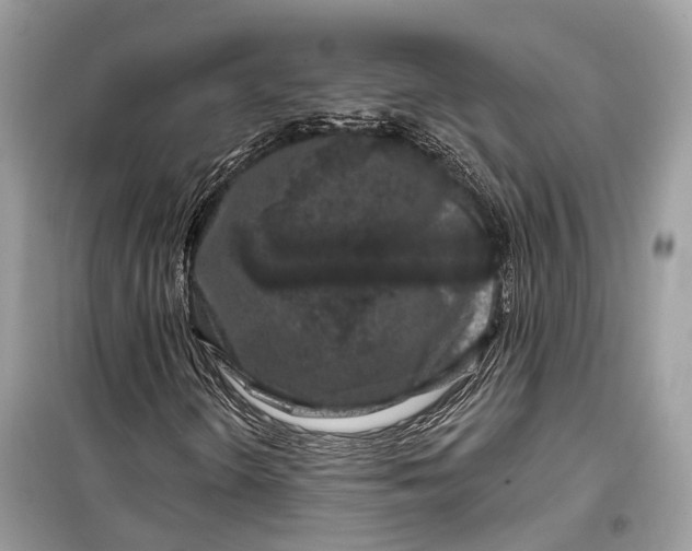 X0000099301298200805161339