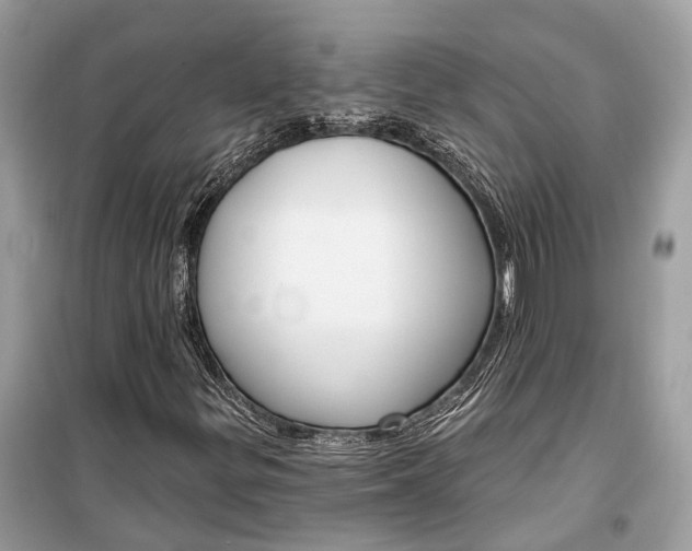 X0000099301299200805161339