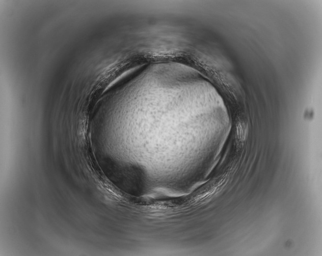 X0000099301300200805161339