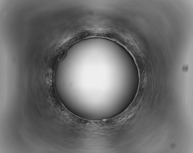 X0000099301301200805161339