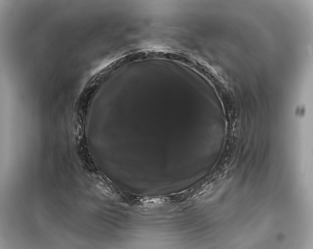 X0000099301303200805161339