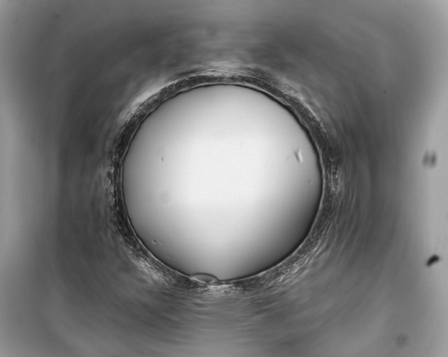 X0000099301304200805161339