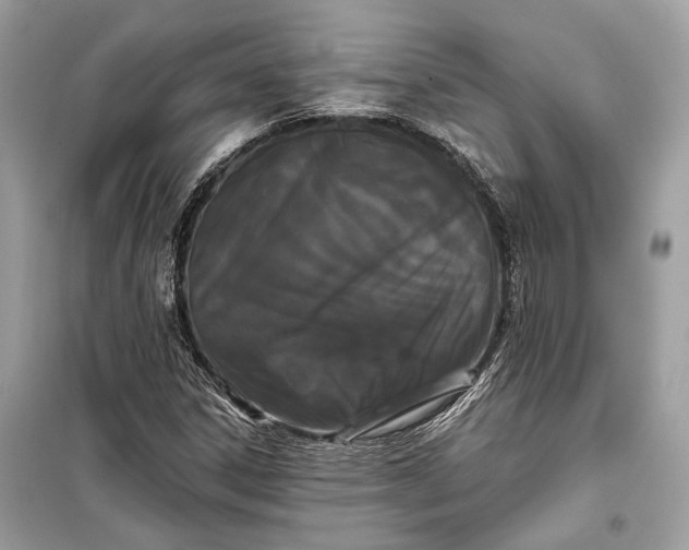 X0000099301306200805161339