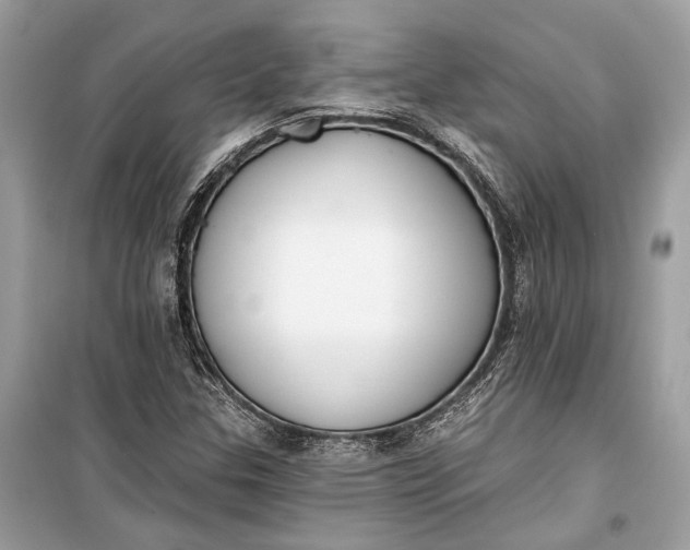 X0000099301307200805161339