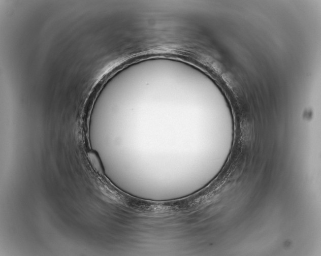 X0000099301308200805161339