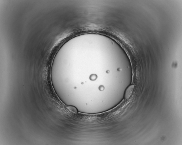 X0000099301309200805161339