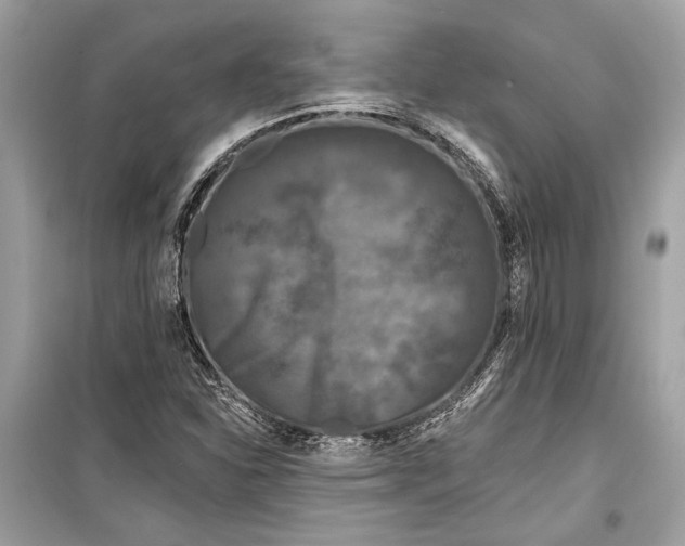 X0000099301310200805161339