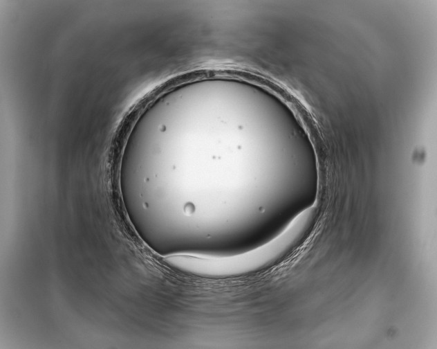 X0000099301311200805161339