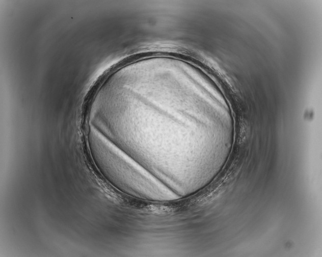 X0000099301312200805161339