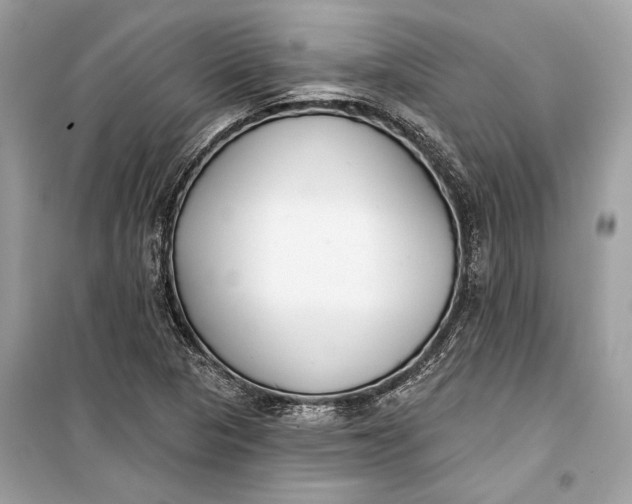 X0000099301313200805161339