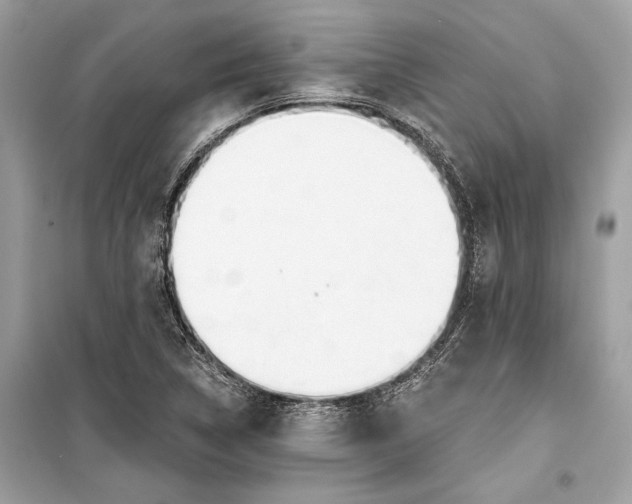 X0000099301314200805161339