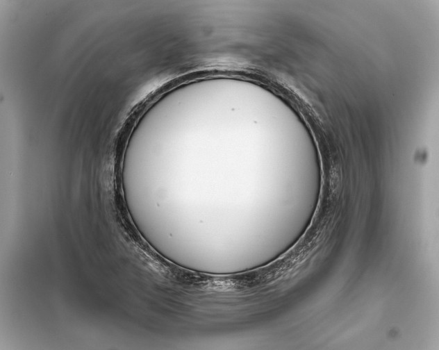 X0000099301315200805161339