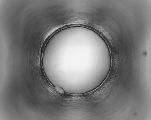 X0000099301316200805161339