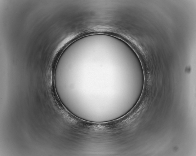 X0000099301317200805161339