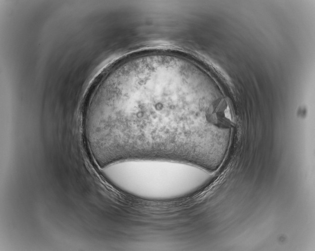 X0000099301318200805161339