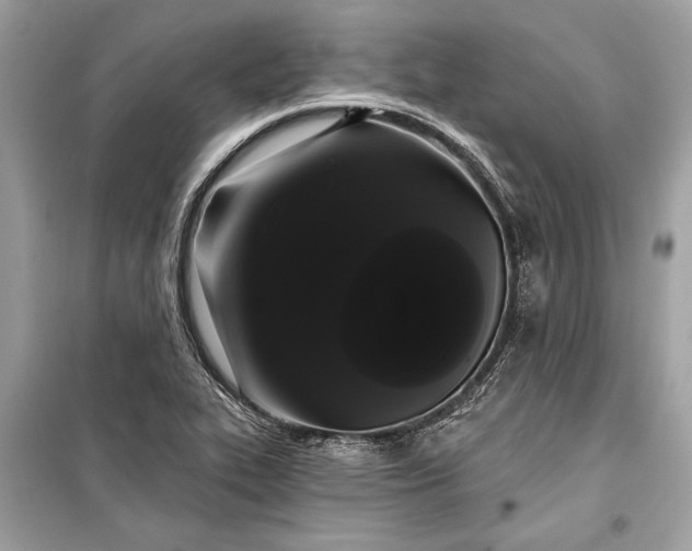 X0000099301319200805161339