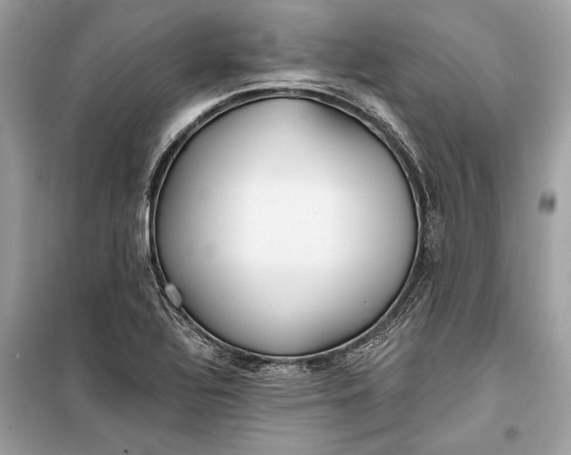 X0000099301320200805161339