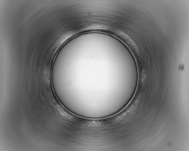 X0000099301321200805161339