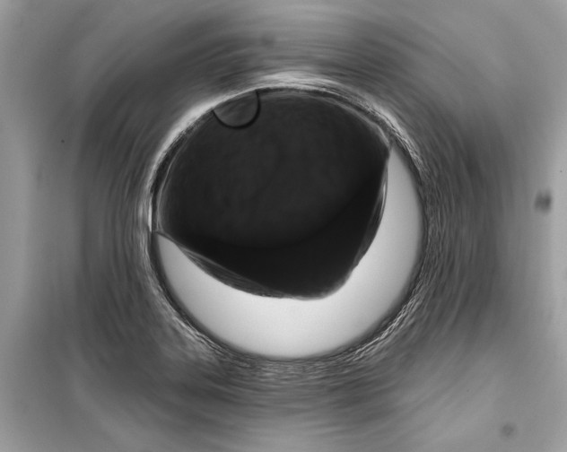 X0000099301323200805161339