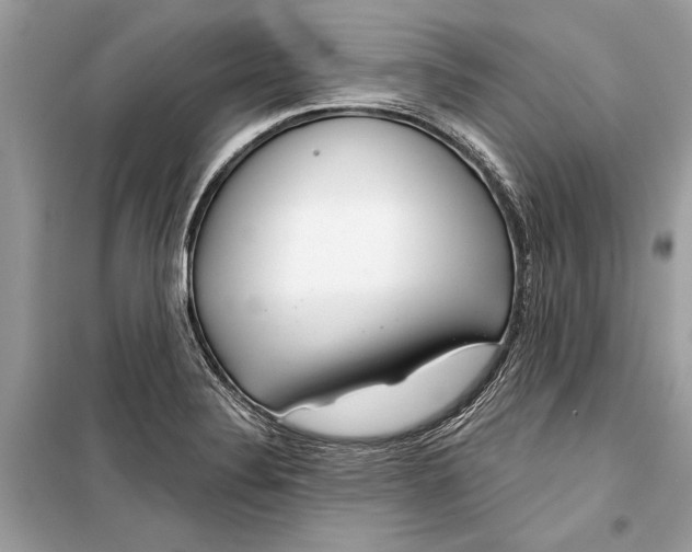 X0000099301324200805161339