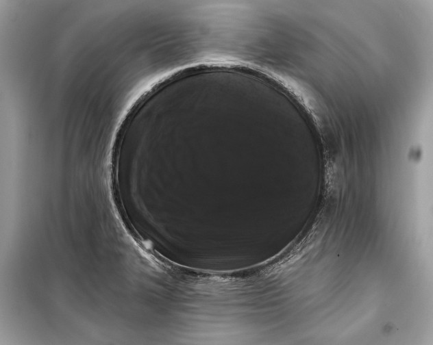 X0000099301327200805161339