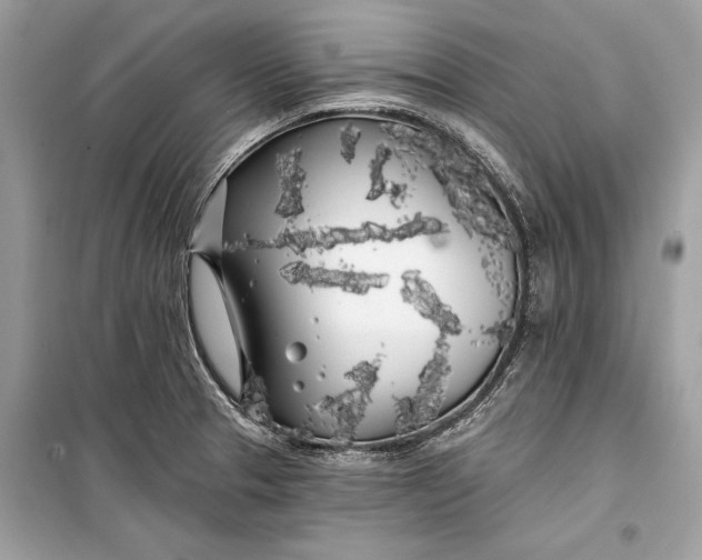 X0000099301329200805161339