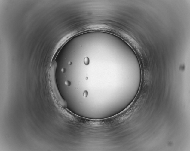 X0000099301330200805161339