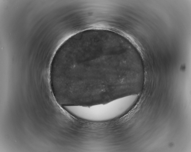 X0000099301331200805161339