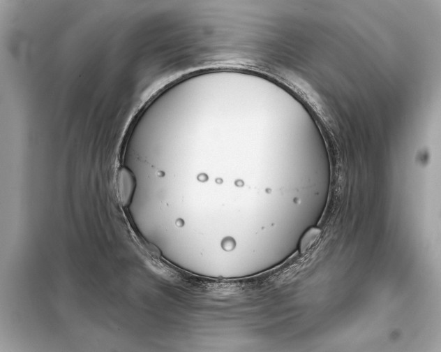 X0000099301332200805161339