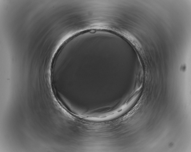 X0000099301334200805161339