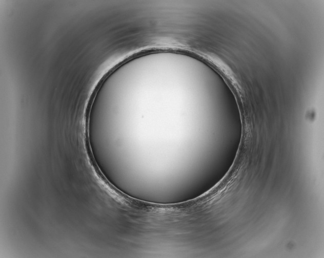 X0000099301335200805161340