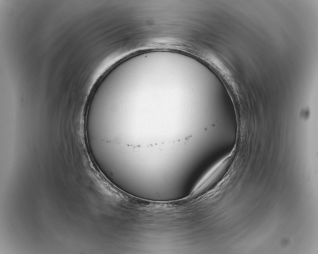 X0000099301336200805161340